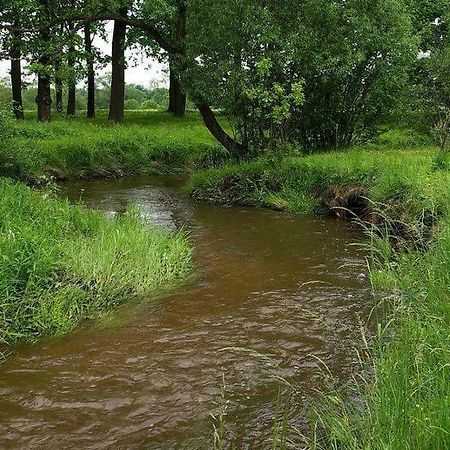 Karpnicka Struga W Dolinie Palacow I Ogrodow Jelenia Gora Ngoại thất bức ảnh