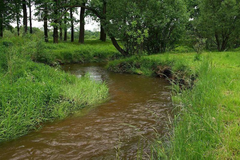 Karpnicka Struga W Dolinie Palacow I Ogrodow Jelenia Gora Ngoại thất bức ảnh
